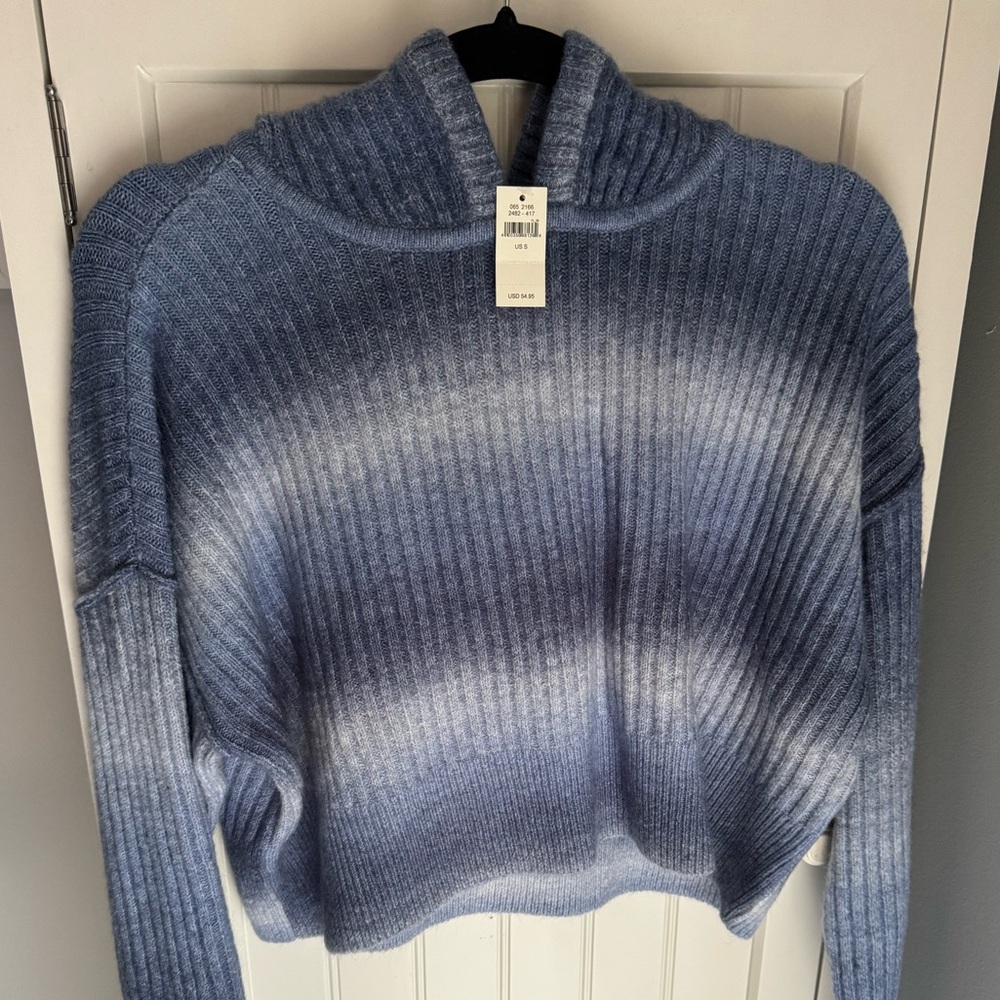 American Eagle Hooded Sweater